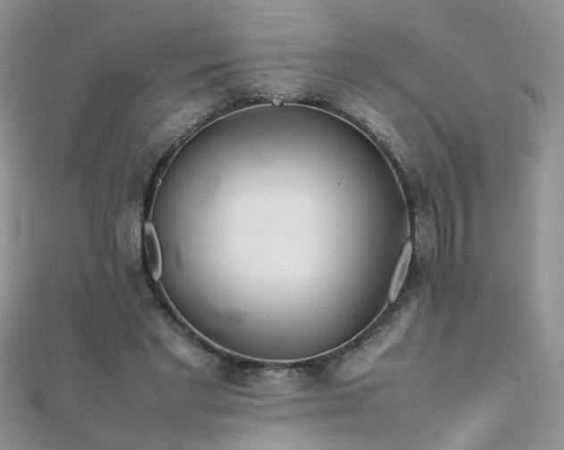 X0000112040493200908101404