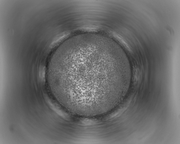 X0000112040494200908101404