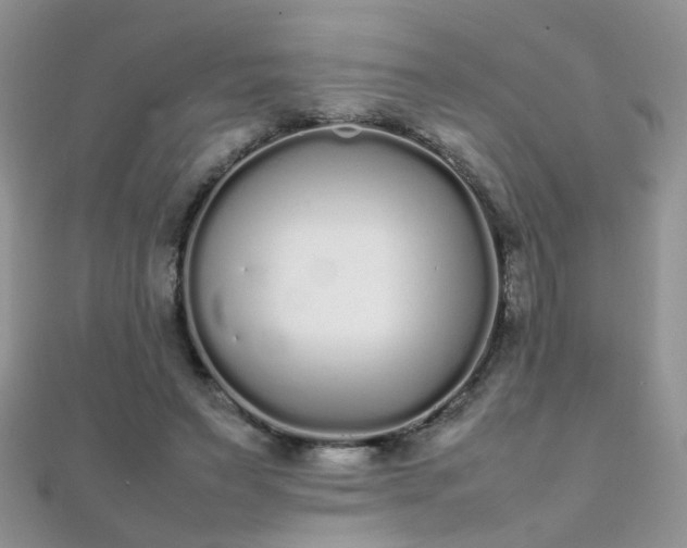 X0000112040495200908101404