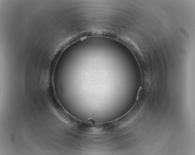 X0000112040496200908101404