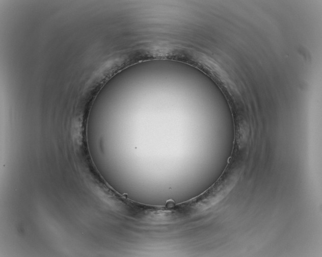 X0000112040497200908101404