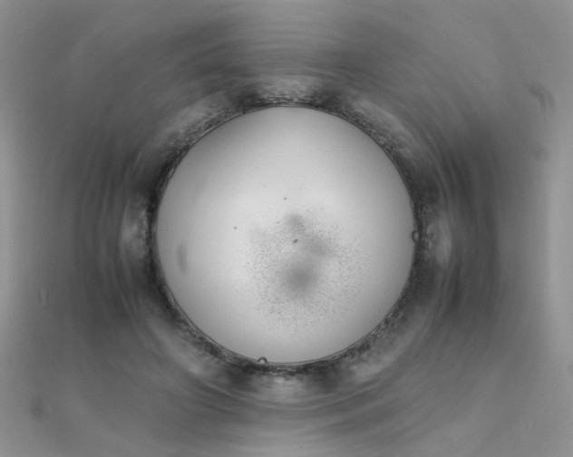 X0000112040498200908101404