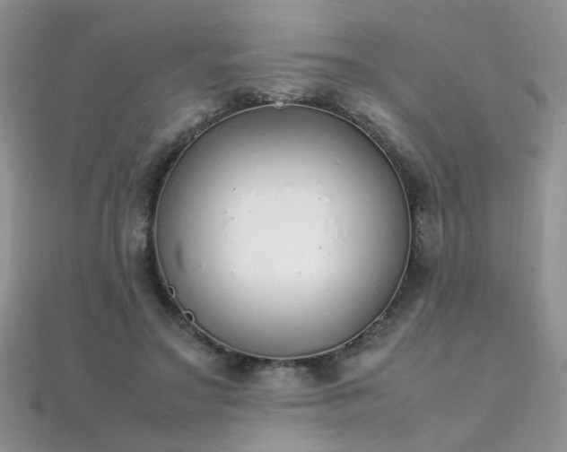 X0000112040499200908101404