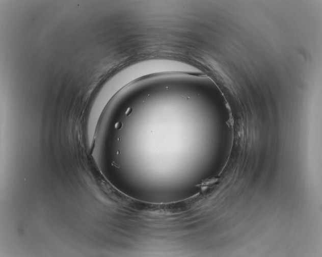 X0000112040500200908101404