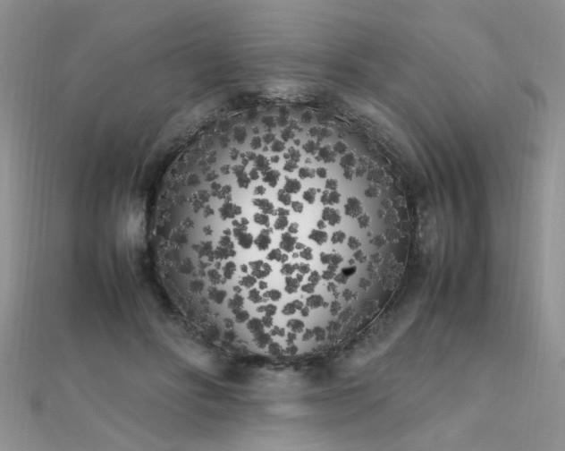 X0000112040502200908101404