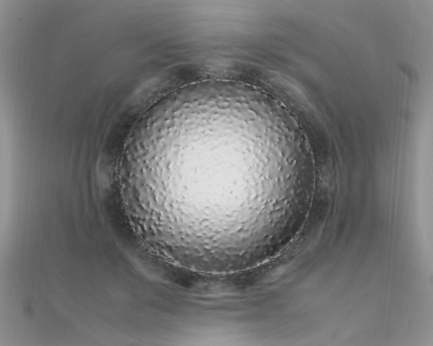 X0000112040503200908101404