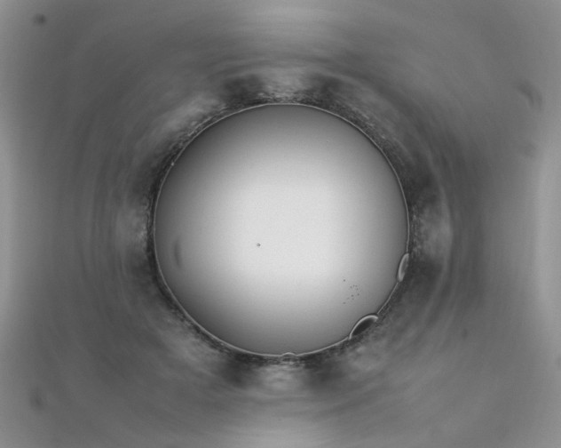 X0000112040505200908101404