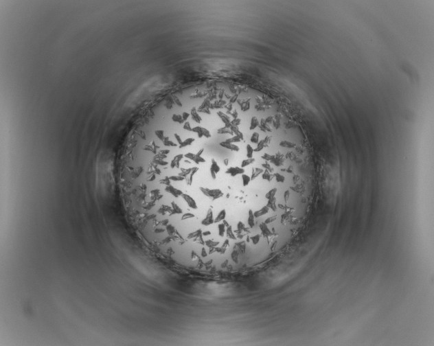 X0000112040506200908101404