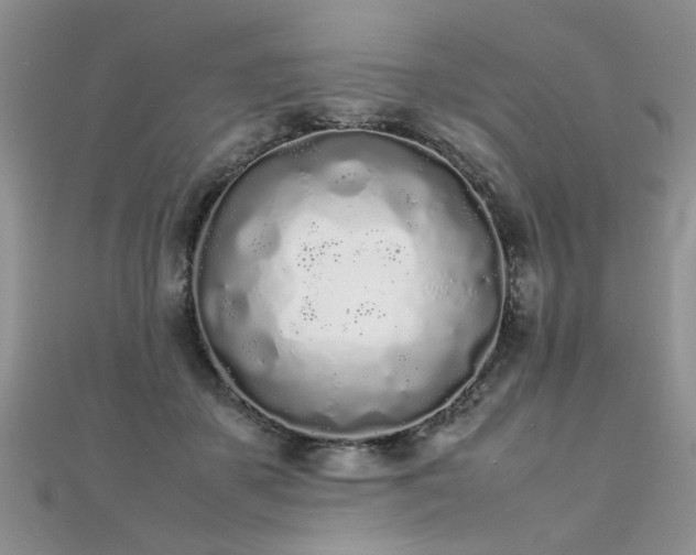X0000112040507200908101404