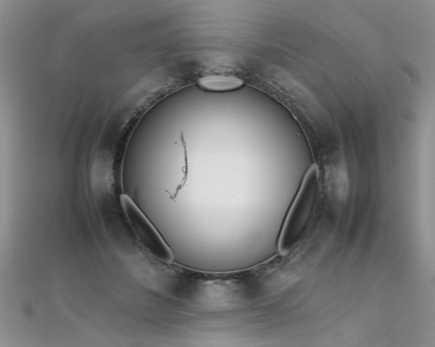 X0000112040508200908101404