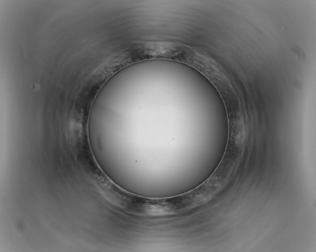X0000112040510200908101404
