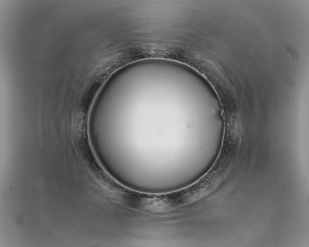 X0000112040511200908101404