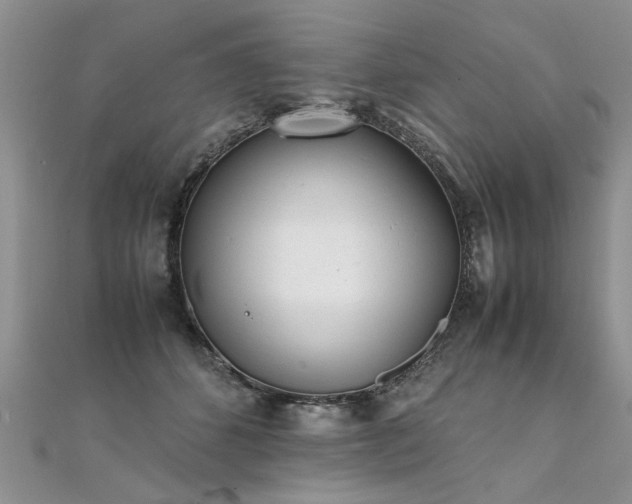 X0000112040512200908101404