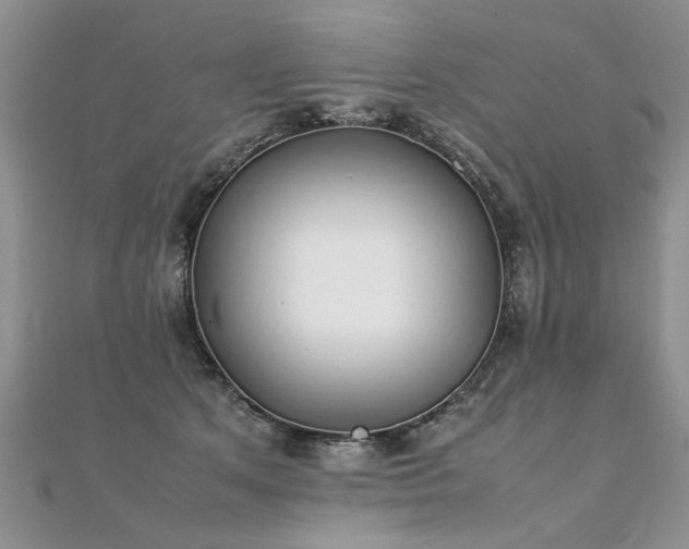 X0000112040513200908101404