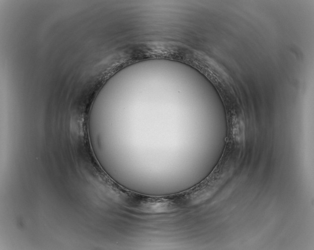X0000112040514200908101404
