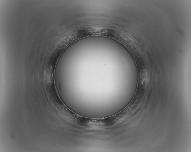 X0000112040515200908101404