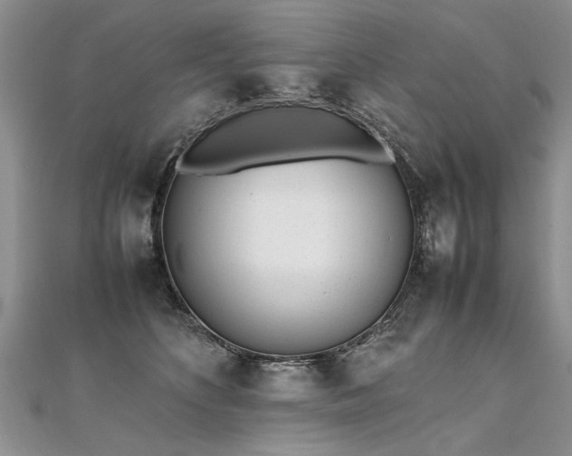 X0000112040516200908101404