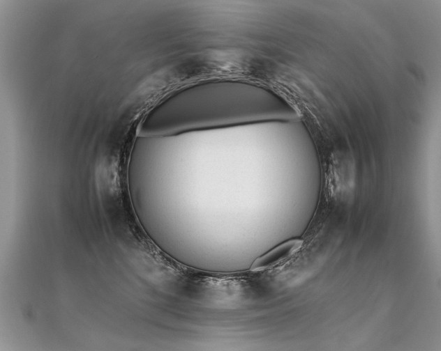 X0000112040520200908101404