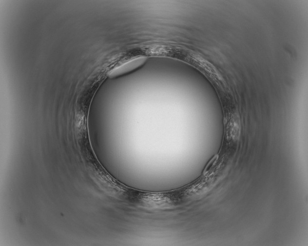 X0000112040521200908101404