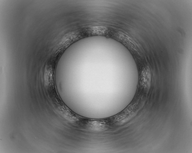 X0000112040522200908101404