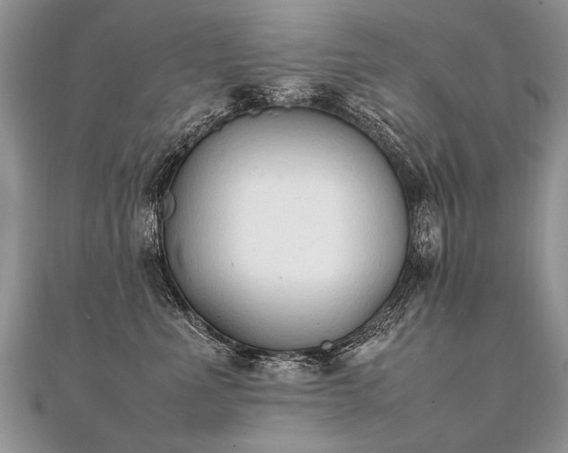 X0000112040523200908101404