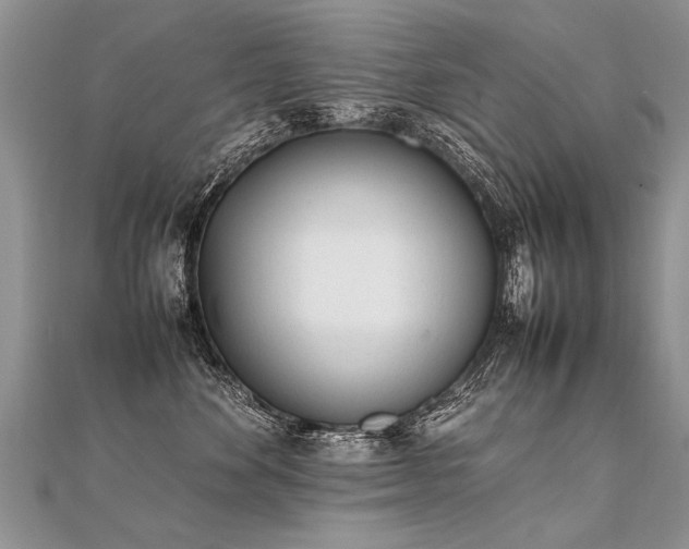 X0000112040524200908101404