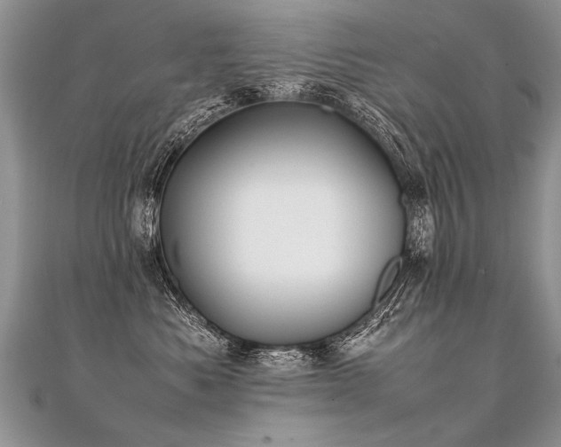 X0000112040525200908101404