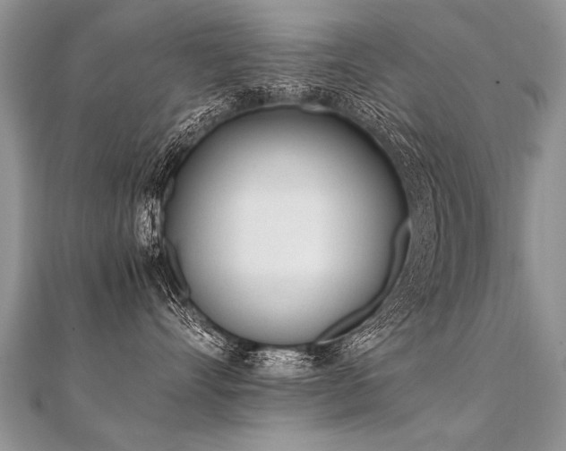 X0000112040528200908101404