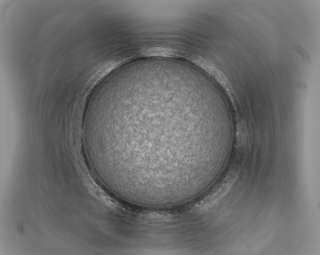 X0000112040529200908101403