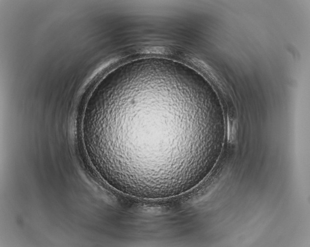 X0000112040531200908101403