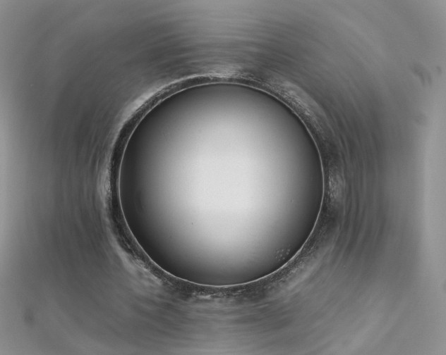 X0000112040532200908101403