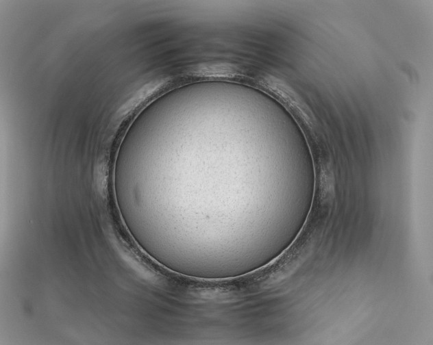 X0000112040533200908101403