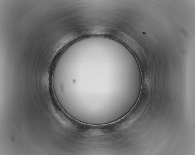 X0000112040534200908101403