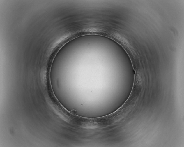 X0000112040535200908101403