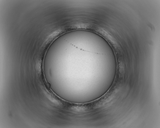 X0000112040537200908101403