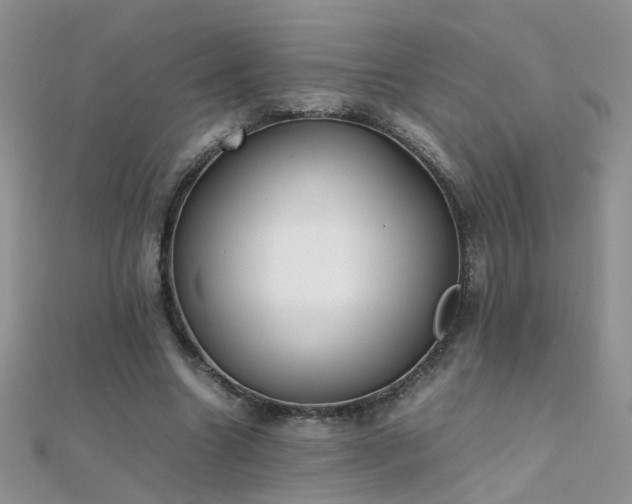 X0000112040538200908101403