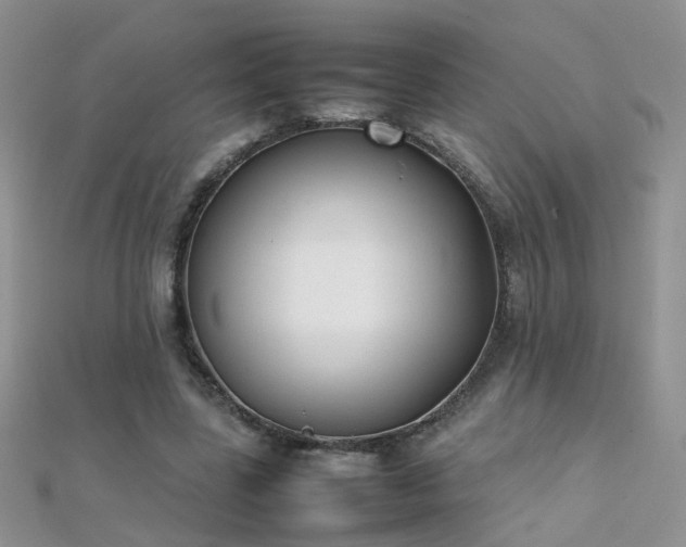 X0000112040539200908101403