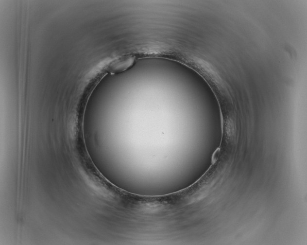X0000112040540200908101403