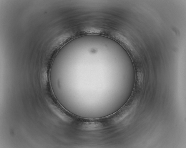 X0000112040541200908101403