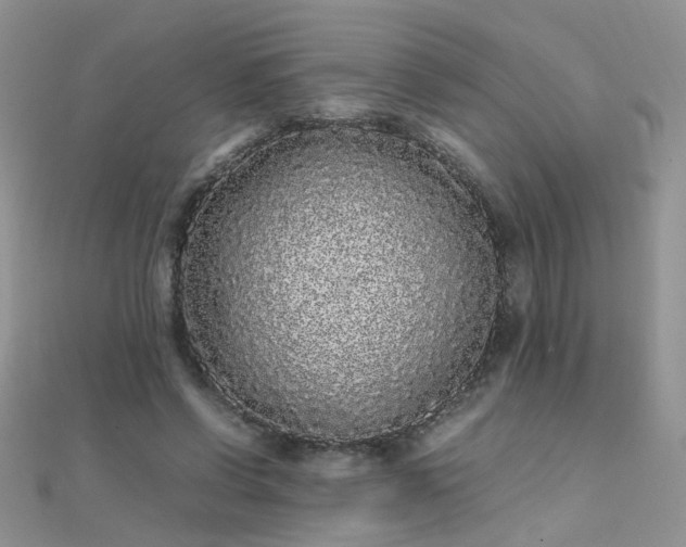 X0000112040542200908101403