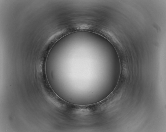 X0000112040543200908101403
