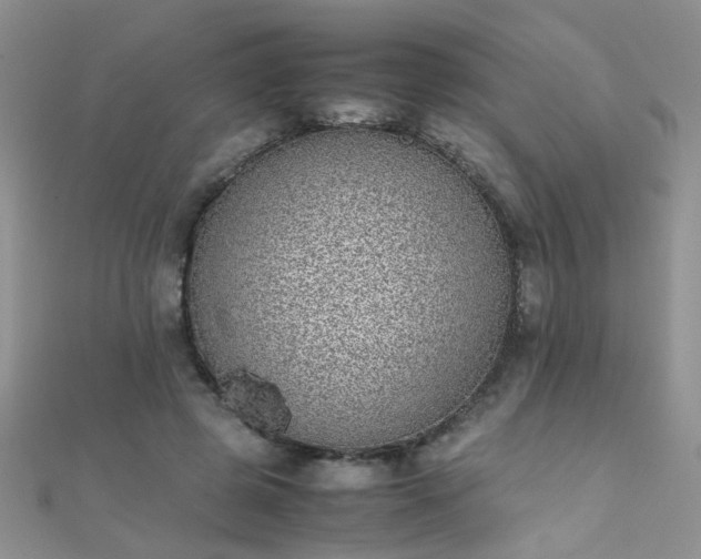 X0000112040545200908101403