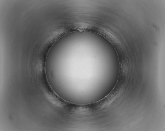 X0000112040546200908101403