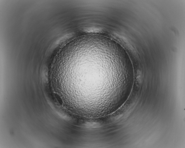 X0000112040547200908101403