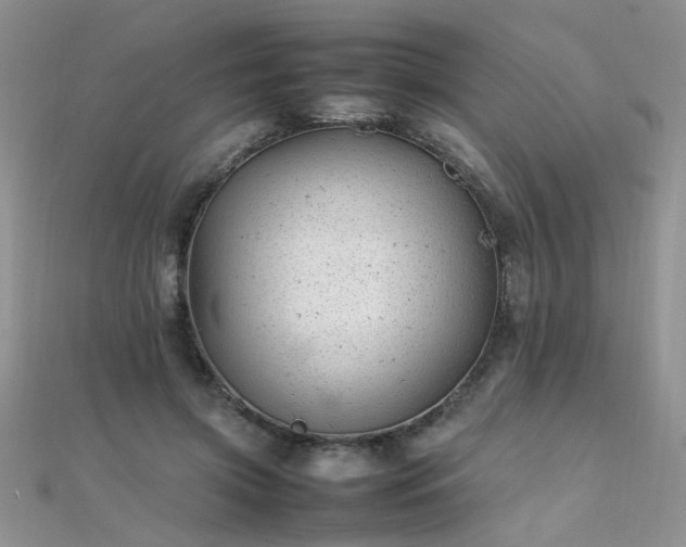 X0000112040549200908101403