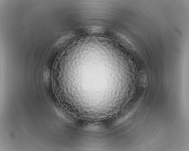 X0000112040550200908101404