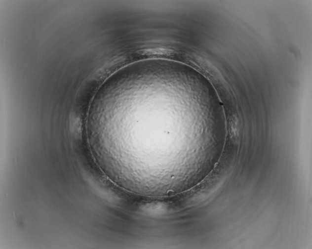 X0000112040551200908101404