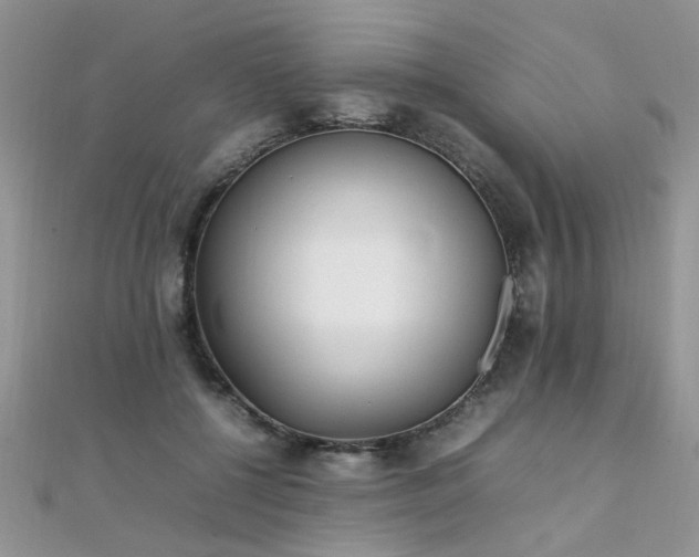 X0000112040552200908101404