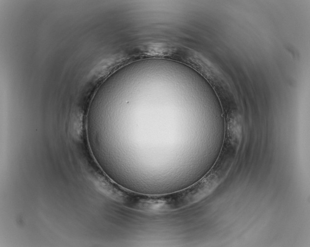 X0000112040554200908101404