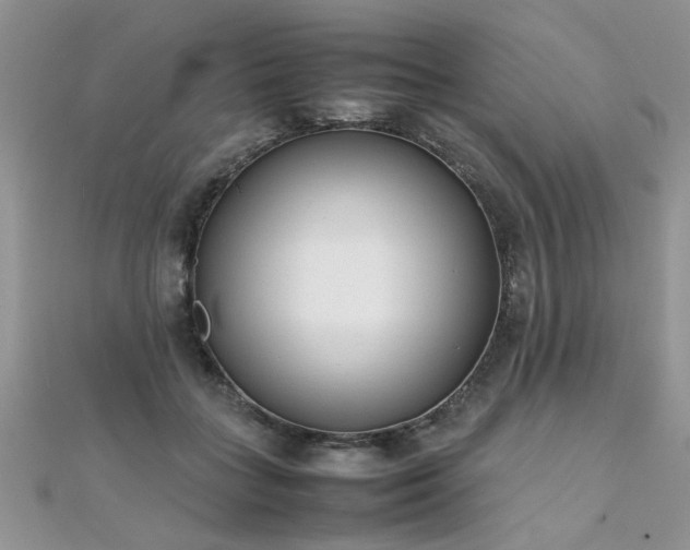 X0000112040555200908101404